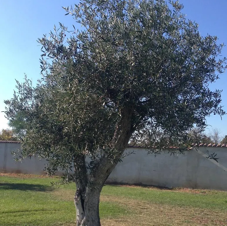 Villa Verde Guest House Tramatza